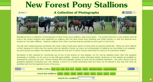 nfstallions.info